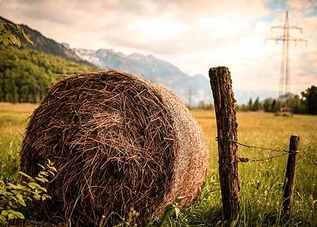 A large haystack on a rural agricultural field with trees and mountains in the background at sunset.
